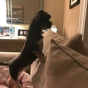 Meet your Posher, Marisa